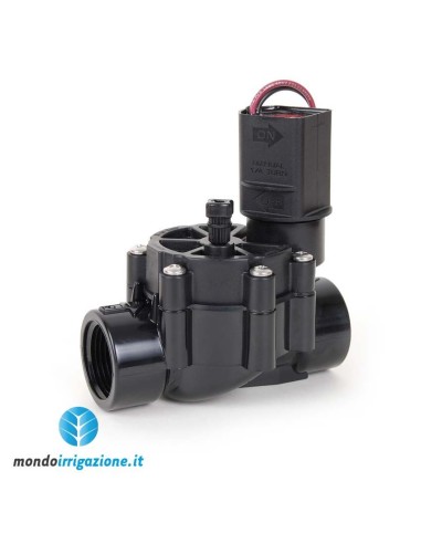 Elettrovalvola per irrigazione Rain Bird DV 3/4" 24V - Femmina