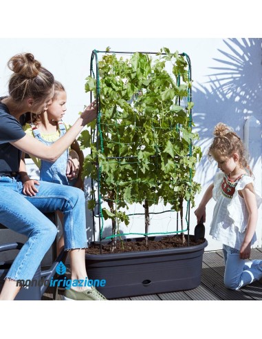 Vaso Orto Balcone con traliccio - Elho Green Basics Veggie Wall 80cm 