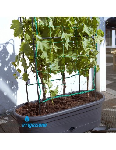 Vaso Orto con traliccio - Elho Green Basics Veggie Wall 80cm - Allestito