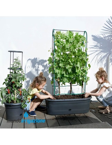 Vaso Orto Terrazzo con traliccio - Elho Green Basics Veggie Wall 80cm 