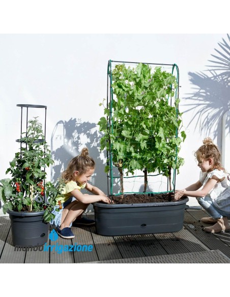 Vaso Orto Terrazzo con traliccio - Elho Green Basics Veggie Wall 80cm 