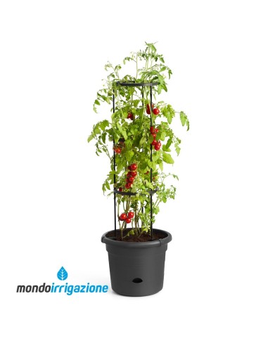 Vaso Orto Terrazzo con traliccio - Elho Green Basics Tomato Pot 34cm