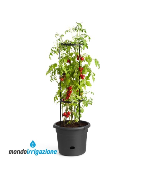 Vaso Orto Terrazzo con traliccio - Elho Green Basics Tomato Pot 34cm