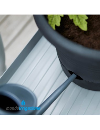 Vaso Orto con traliccio - Elho Green Basics Tomato Pot 34cm - Sistema irrigazione