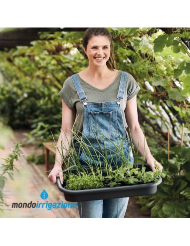 Vaso Orto Giardino - Elho Green Basics Grow Tray M 36cm