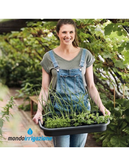 Vaso Orto Giardino - Elho Green Basics Grow Tray M 36cm