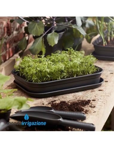 Vaso Orto Balcone - Elho Green Basics Grow Tray M 36cm