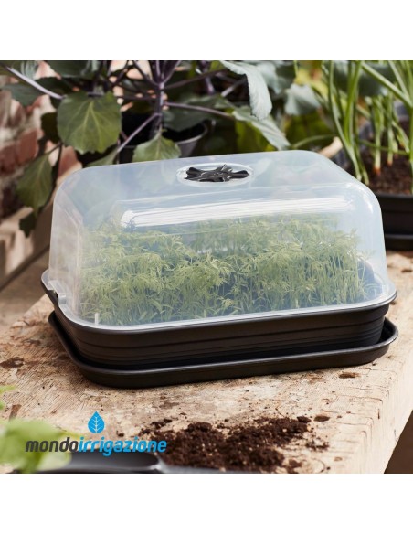 Serra vaso Orto in casa - Elho Green Basics Grow House M 36cm