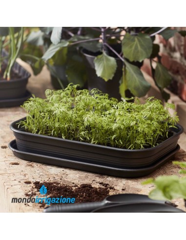 Sottovaso Orto casa - Elho Green Basics Grow Tray Saucer M 36cm