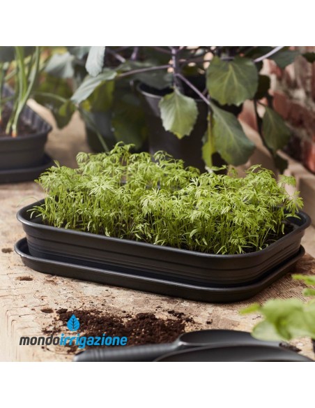 Sottovaso Orto casa - Elho Green Basics Grow Tray Saucer M 36cm