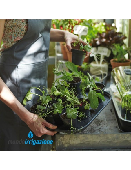 Sottovaso Orto terrazzo - Elho Green Basics Grow Tray Saucer M 36cm