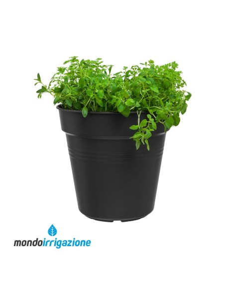 Vaso Orto terrazzo - Elho Green Basics Growpot 11/40cm - Living Black