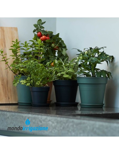 Vaso Orto giardino - Elho Green Basics Growpot 11/40cm - Living Black