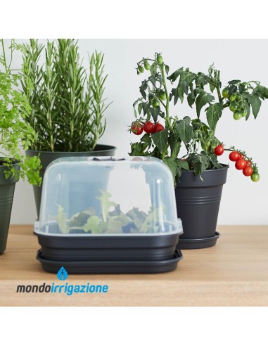 Vaso Orto in casa - Elho Green Basics Growpot 11/40cm - Living Black