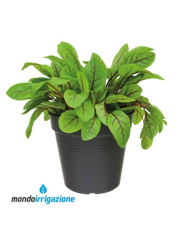 Vaso Orto urbano - Elho Green Basics Growpot 11/40cm - Living Black