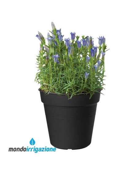 Vaso Orto in casa - Elho Green Basics Growpot 11/40cm - Living Black