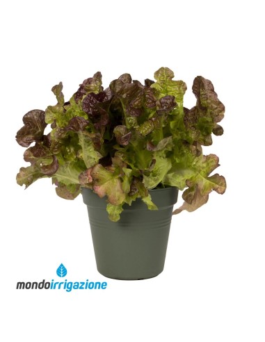 Vaso Orto terrazzo - Elho Green Basics Growpot 11/40cm - Leaf Green