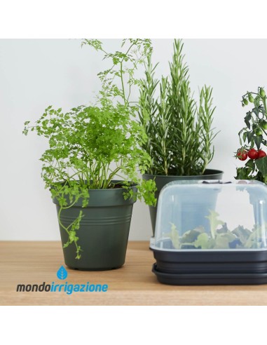 Vaso Orto giardino - Elho Green Basics Growpot 11/40cm - Leaf Green