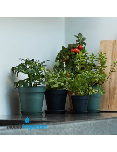 Vaso Orto in casa - Elho Green Basics Growpot 11/40cm - Leaf Green