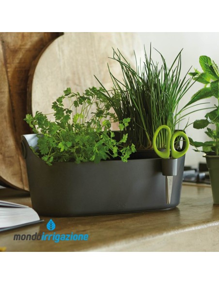 Vaso Erbe aromatiche da cucina - Elho Brussels Herbs Station 30cm - Antracite