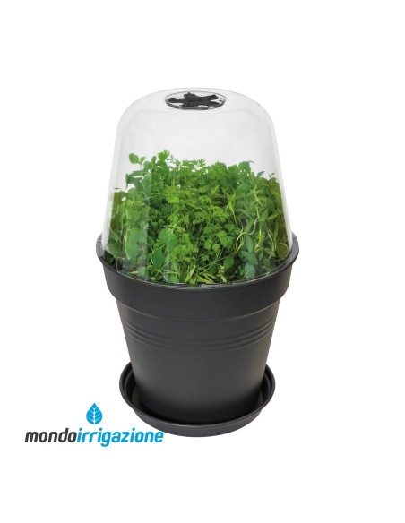 Serra vaso Orto terrazzo - Elho Green Basics Grow House Round 17/30cm