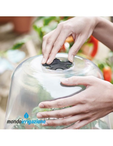 Serra vaso Orto in giardino - Elho Green Basics Grow House Round 17/30cm