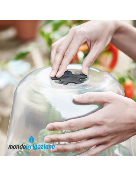 Serra vaso Orto in giardino - Elho Green Basics Grow House Round 17/30cm