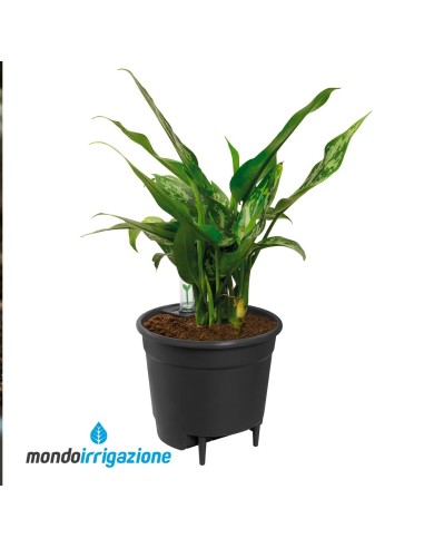 Sistema irrigazione vasi giardino - Elho Self-Watering Insert 17/30cm