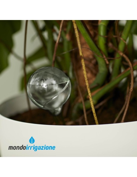 Sistema di irrigazione vasi giardino - Elho Aqua Care