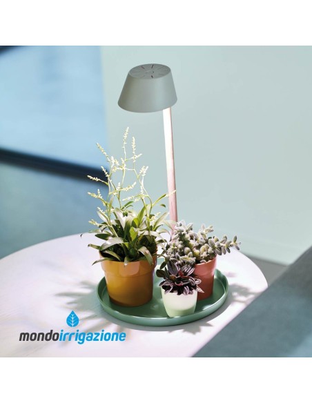 Lampada coltivazione piante indoor - Elho Plant Light Care - luce vasi