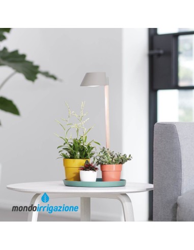 Lampada coltivazione piante indoor - Elho Plant Light Care - luce vasi