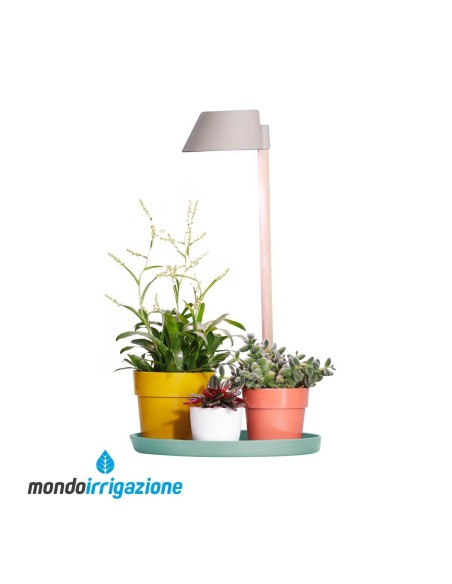 Lampada coltivazione piante indoor - Elho Plant Light Care - luce vasi