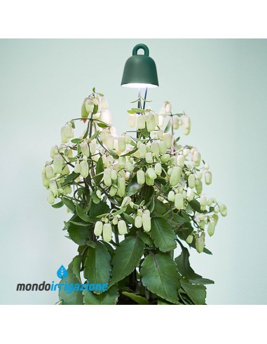 Lampada coltivazione piante indoor - Elho Leaf Light Care - Illuminazione vasi interno