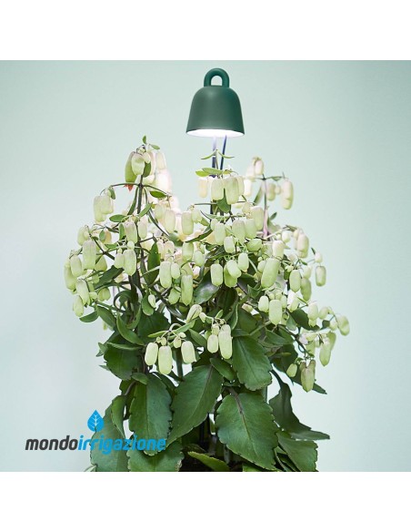 Lampada coltivazione piante indoor - Elho Leaf Light Care - Illuminazione vasi interno
