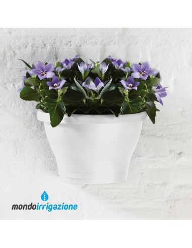Vaso-Fioriera da Muro - Elho Corsica Wall Basket 25cm - White - balconi e terrazze