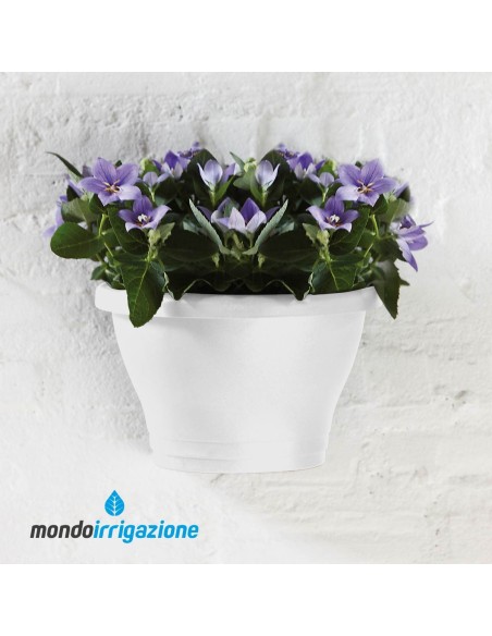 Vaso-Fioriera da Muro - Elho Corsica Wall Basket 25cm - White - balconi e terrazze