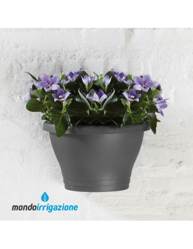 Vaso-Fioriera da Muro - Elho Corsica Wall Basket 25cm - Anthracite - su muro balcone