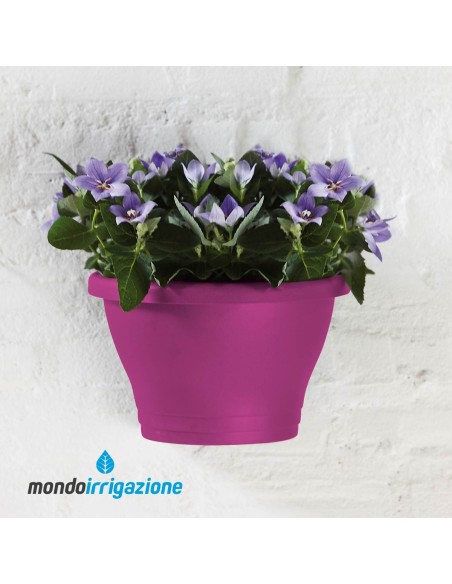 Vaso-Fioriera da Muro - Elho Corsica Wall Basket 25cm - Cherry Red