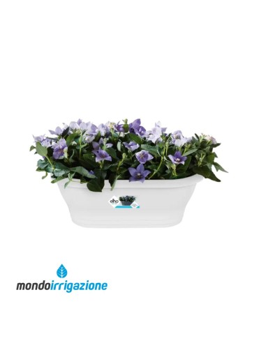 Vaso-Fioriera da Muro - Elho Corsica Wall Basket 39cm - White - Su terrazzo