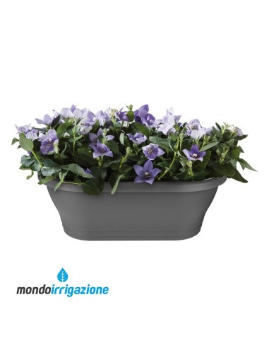 Vaso-Fioriera da Muro - Elho Corsica Wall Basket 39cm - Anthracite - balcone e terrazza