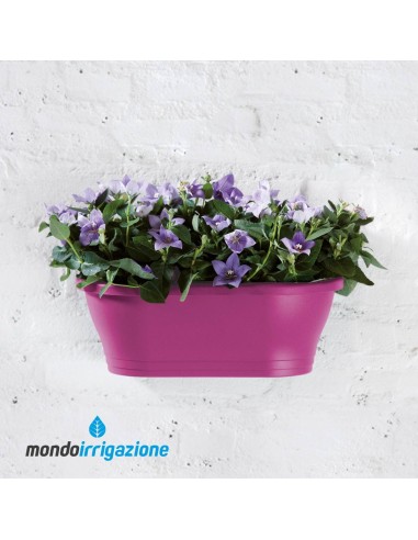 Vaso-Fioriera da Muro - Elho Corsica Wall Basket 39cm - Cherry Red - per balcone e terrazzo