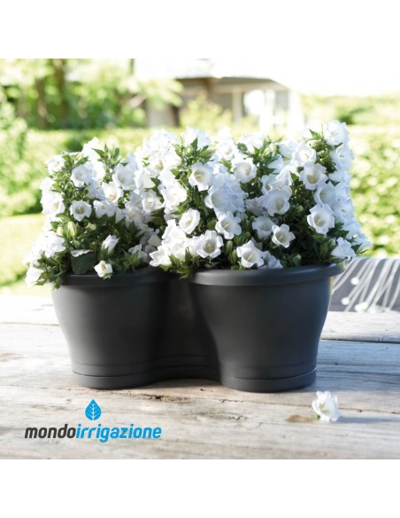 Sottovase per Vaso Verde verticale - Elho Corsica Vertical Saucer - Anthracite - montato