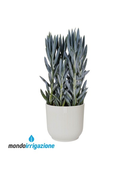 Vaso da Interno design - Elho Vibes Fold Round - White - Con pianta