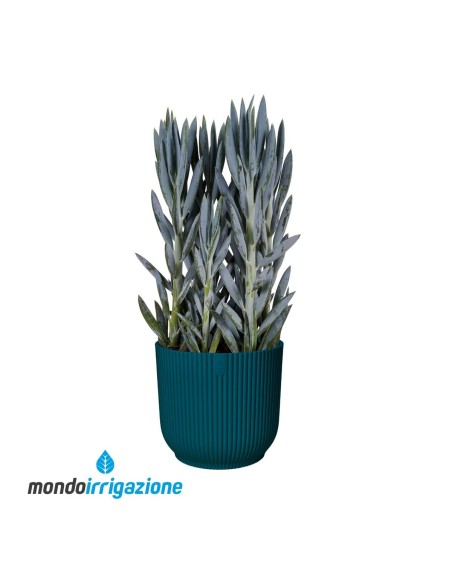 Vaso colorato da Interno design - Elho Vibes Fold Round - Deep Blue - con pianta