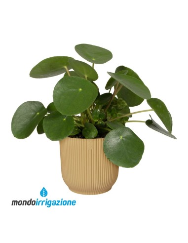 Vaso da Interno moderno e colorato di design - Elho Vibes Fold Round - Butter Yellow - pianta