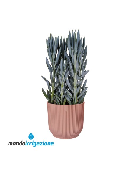 Vaso di design moderno e colorato da interno - Elho Vibes Fold Round - Delicate Pink - con pianta