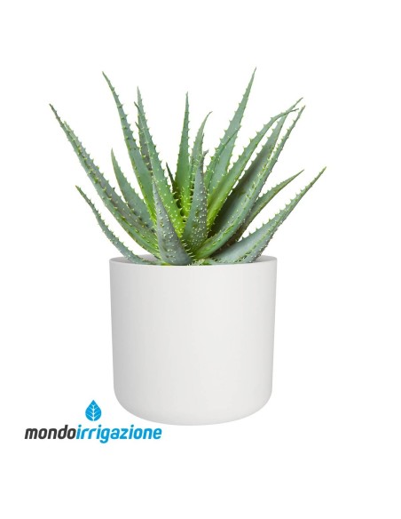 Vaso da Interno moderno - Elho B.For Soft Round - White - pianta