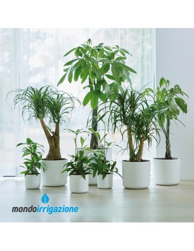 Vaso da Interno moderno - Elho B.For Soft Round - White - misure