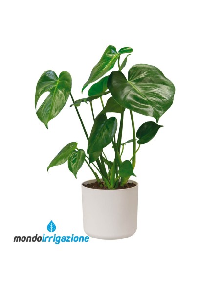 Vaso da Interno moderno - Elho B.For Soft Round - White