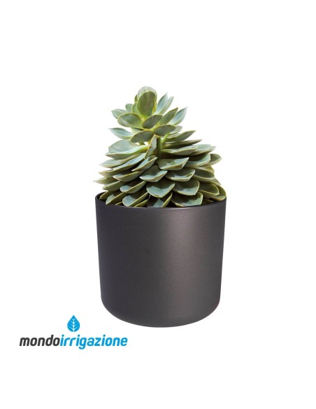 Vaso da Interno moderno - Elho B.For Soft Round - Anthracite - con pianta